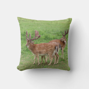 Coussin animal, cerf, faune, forêt, prairie, chasse,