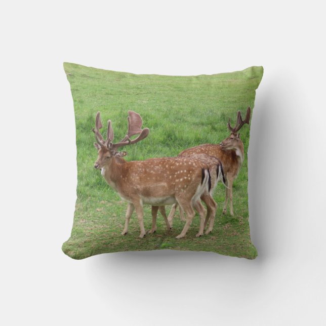 Coussin animal, cerf, faune, forêt, prairie, chasse, (Recto)
