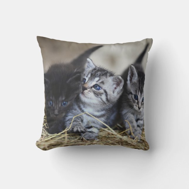 Coussin Animal de compagnie personnalisé (Recto)