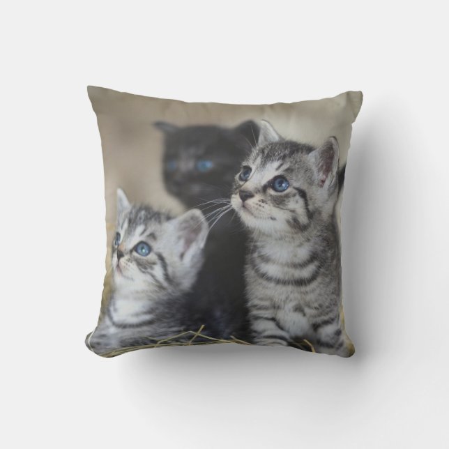 Coussin Animal de compagnie personnalisé (Recto)