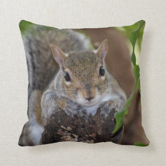 Coussin animal d'écureuil sur le rondin traînant la