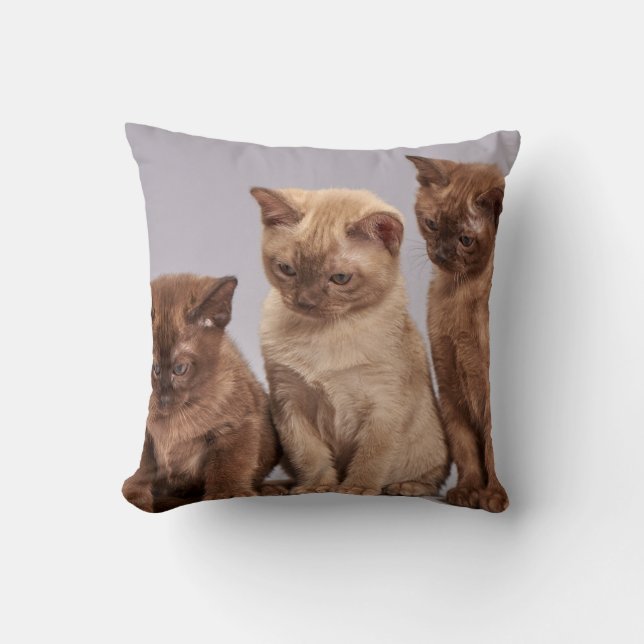 Coussin Animal familier personnalisé (Recto)
