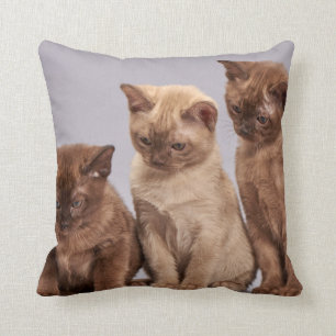 Coussin Animal familier personnalisé