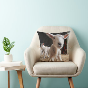 Coussin Animaux de bébés cutest Agneau mignon dans une f