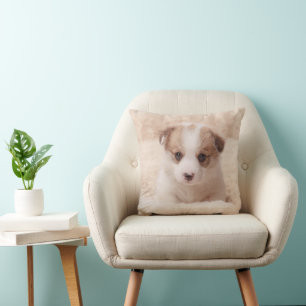 Coussin Animaux de bébés cutest Baby Corgi