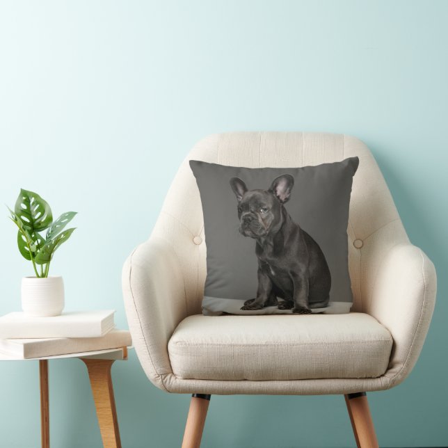 Coussin Animaux de bébés cutest | Blue French Bulldog Pupp (Chaise)