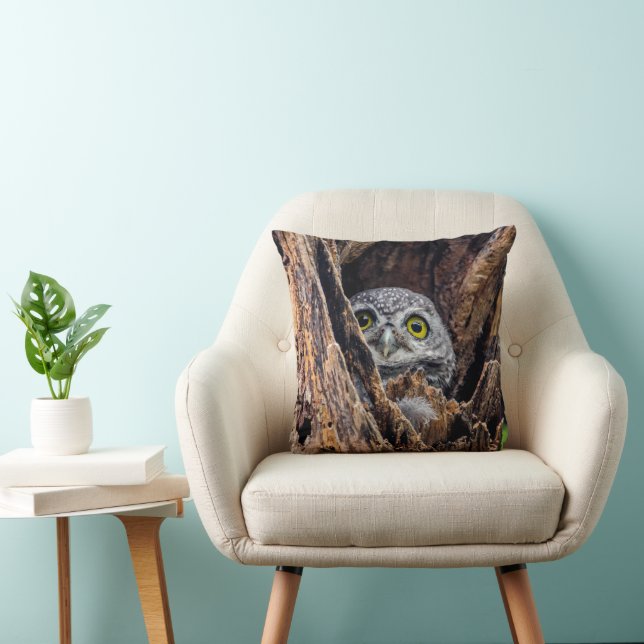 Coussin Animaux de bébés cutest | Chouette tachetée (Chaise)