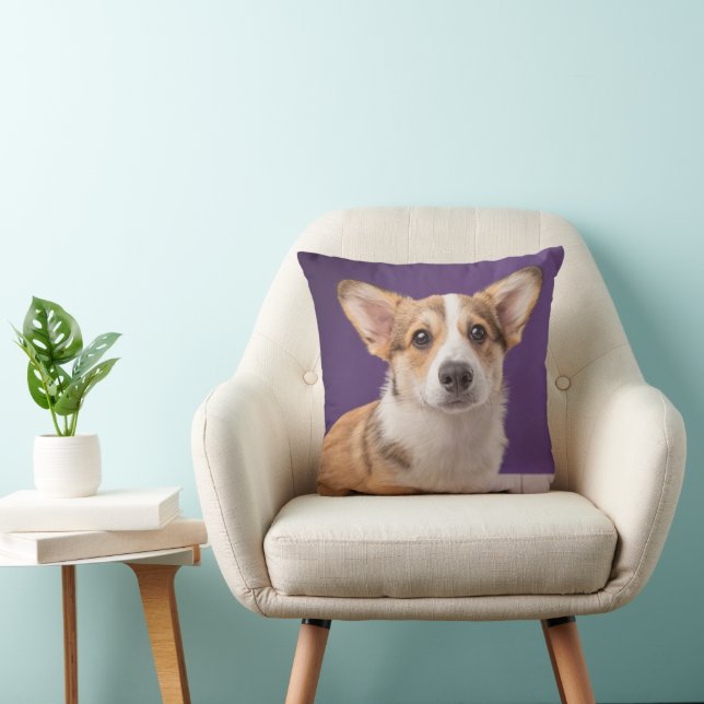 Coussin Animaux de bébés cutest | Corgi Chiple sur Purple (Chaise)