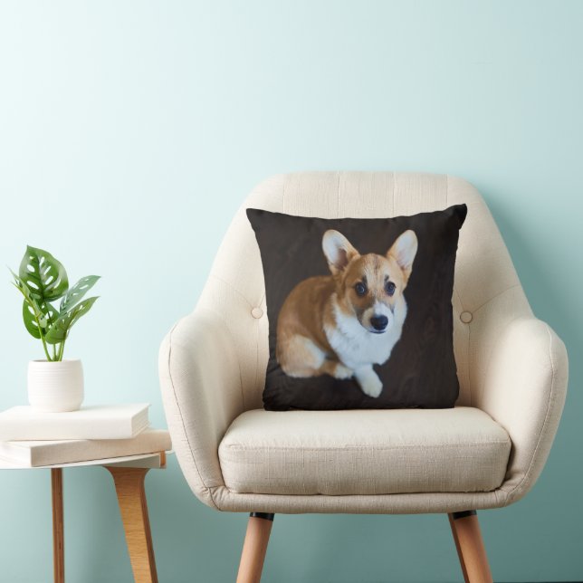 Coussin Animaux de bébés cutest | Corgi levant les yeux (Chaise)