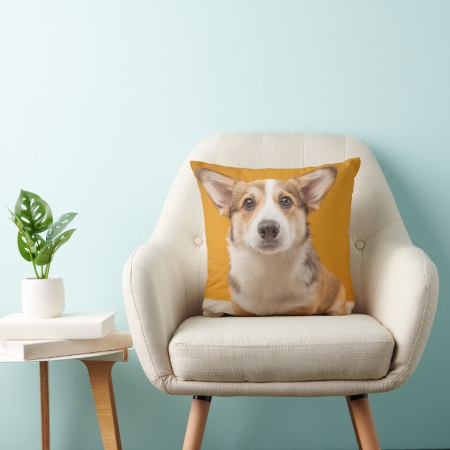 Coussin Animaux de bébés cutest | Corgi Portrait sur Orang (Chaise)