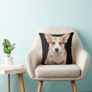 Coussin Animaux de bébés cutest Corgi Puppy Standing Hau