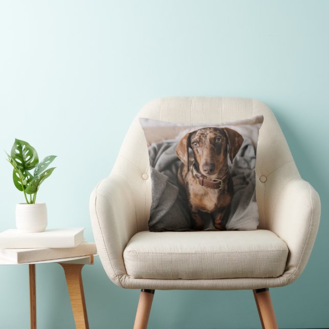 Coussin Animaux de bébés cutest | Dachshund Dachshund Dach (Chaise)