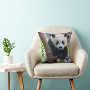 Coussin Animaux de bébés cutest   Géant Panda Cub