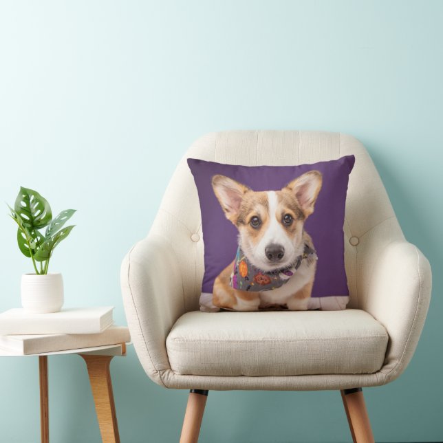 Coussin Animaux de bébés cutest | Halloween Corgi (Chaise)