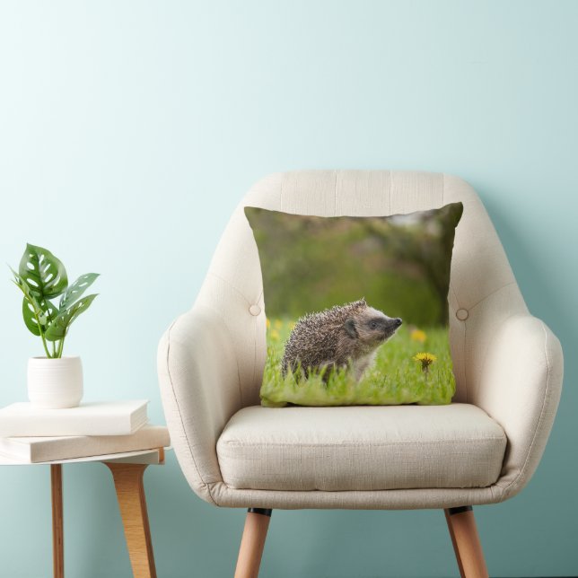 Coussin Animaux de bébés cutest | Hérisson européen (Chaise)