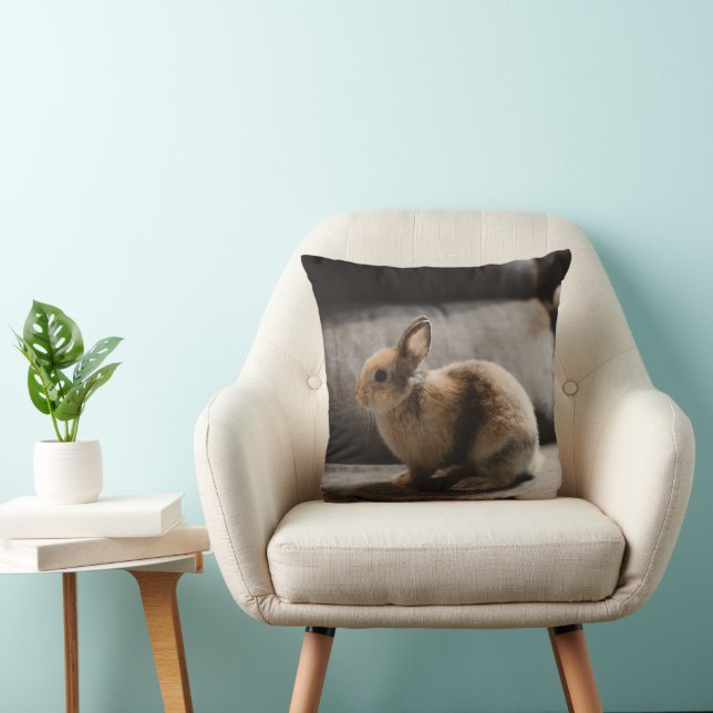 Coussin Animaux de bébés cutest | Lapin nain de Pays-Bas (Chaise)