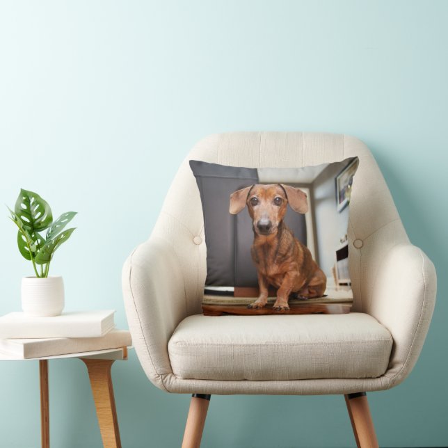 Coussin Animaux de bébés cutest | Mini chiot (Chaise)