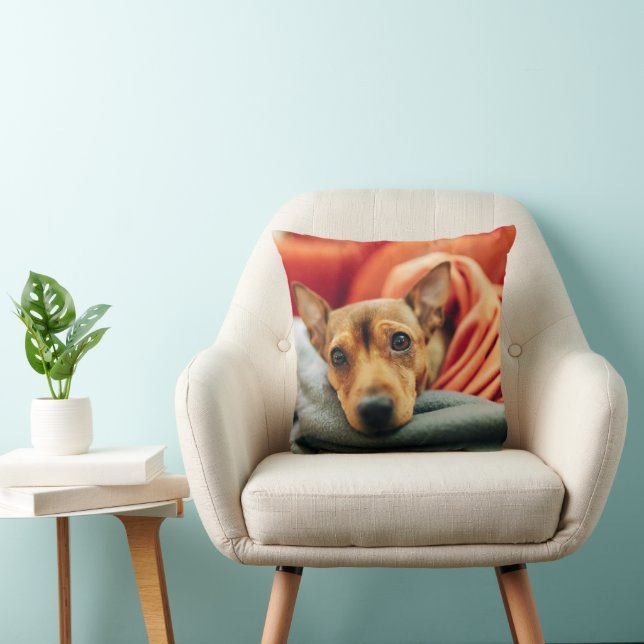 Coussin Animaux de bébés cutest | Miniature Pinscher (Chaise)