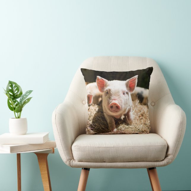 Coussin Animaux de bébés cutest | Piglet bébé mignon (Chaise)