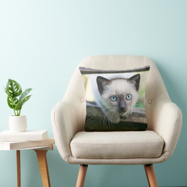 Coussin Animaux de bébés cutest | Siamese Kitten 2 (Chaise)
