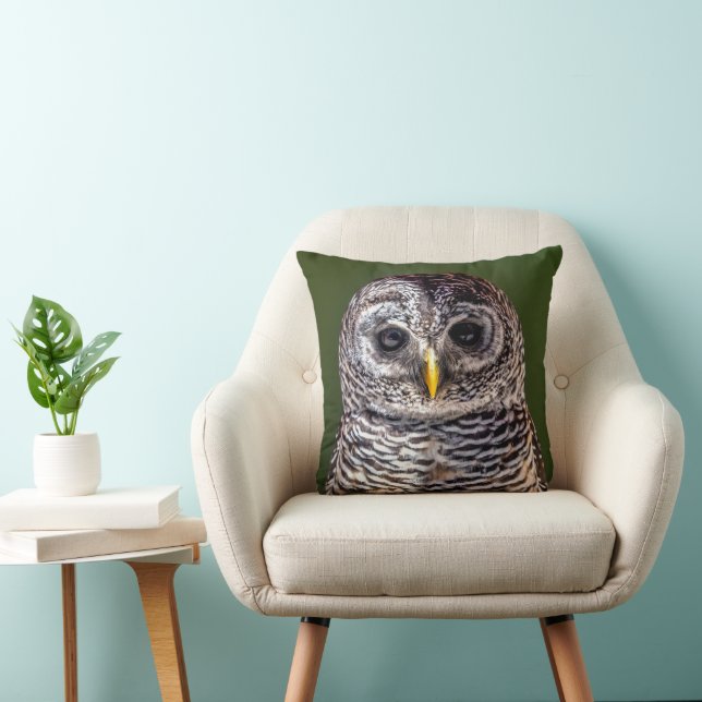 Coussin Animaux de bébés cutest | Tawny Owl (Chaise)