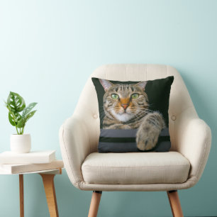 Coussin Animaux de bébés cutest   Tête de chat gris Tabby