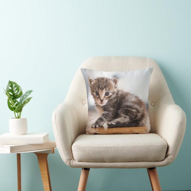 Coussin Animaux de bébés cutest | Tiny Tabby Kitten (Chaise)