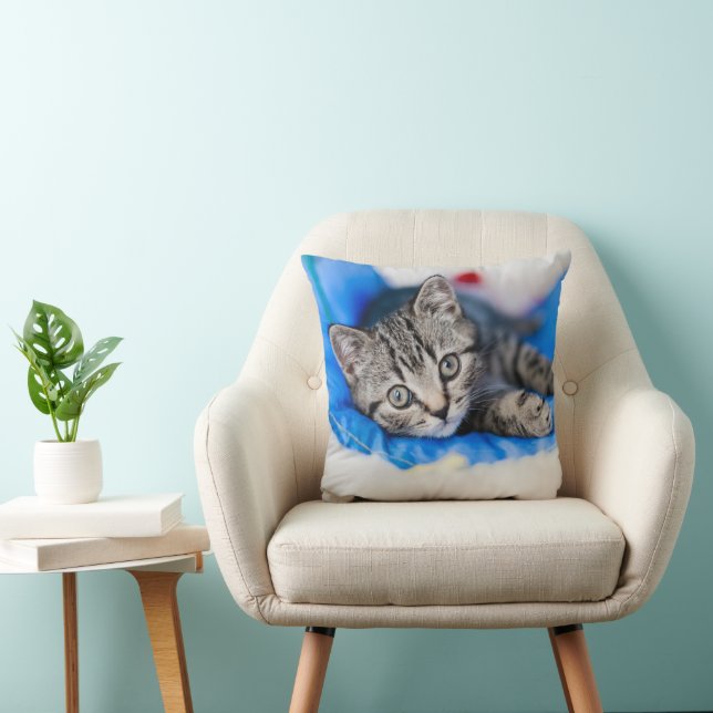 Coussin Animaux de bébés cutest | Tunnel Tabby Kitten en J (Chaise)