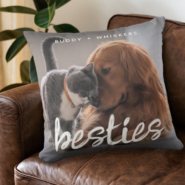 Coussin Animaux de compagnie amis Chien et chat cadeau pho (Créateur téléchargé)