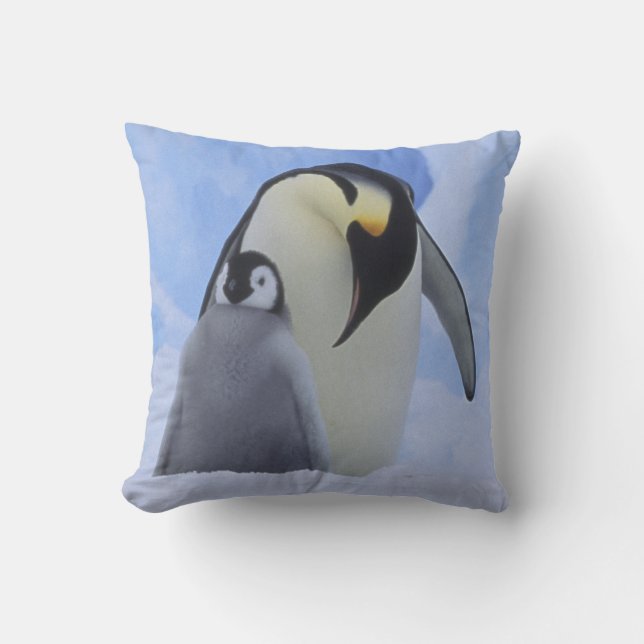Coussin Antarctique. Manchots empereurs et poussin (Recto)