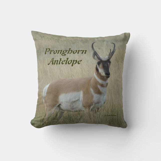Coussin Antilope d'Amérique A8 Grand Buck (Recto)