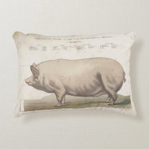 coussin antique à l'éphémère de porc Vintage