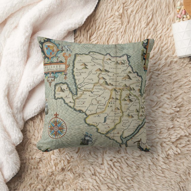Coussin Antique vieille carte inspirée (7) (Couverture)