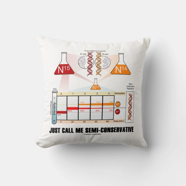 Coussin Appelez-Moi Simplement La Réplication De L'ADN Sem (Recto)