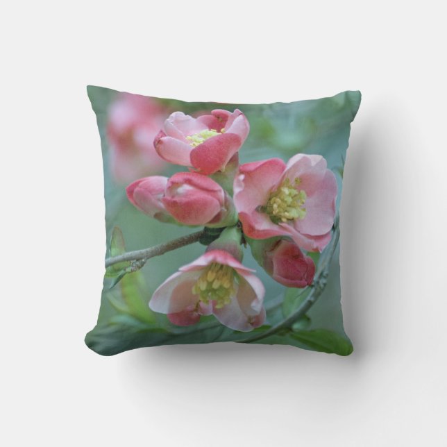 Coussin Apple Blossom #P0356 (Recto)