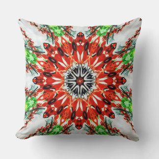 Coussin Application
