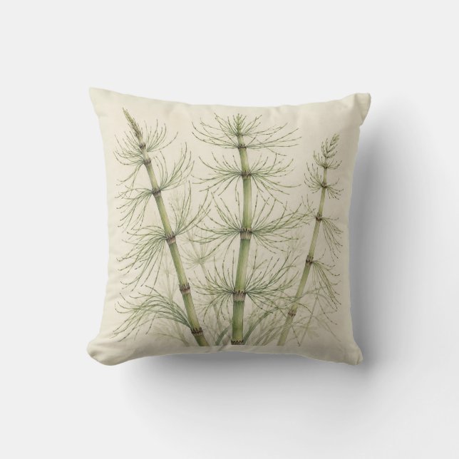 Coussin Aquarelle botanique d'ivore de Prêle verte (Recto)