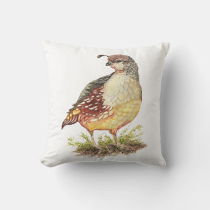 Coussin Aquarelle originale California Quail Garden Bird
