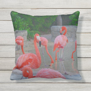 Coussin Aquarelle rose de Flamants roses de la Floride