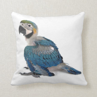 Coussin Ara bleu et jaune