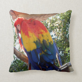 Coussin Ara de la photo #16-Scarlet d'oiseau