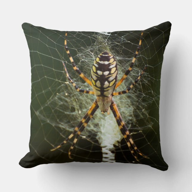 Coussin Araignée de jardin jaune sur la toile en noir (Recto)