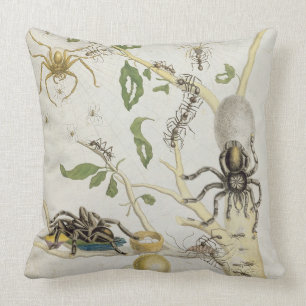 Coussin Araignées : Mygole, plaquent 18 de 'au-dessus de