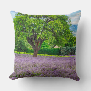 Coussin Arbre dans un champ de lavande, France