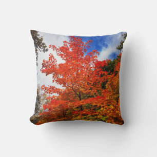 Coussin Arbre d'automne