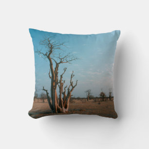 Coussin Arbre Moringo Africain Sur La Plaine, National D'E