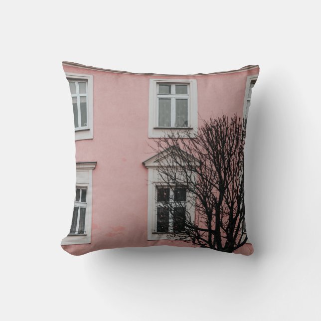COUSSIN ARBRE NUIT DEVANT LE BÂTIMENT ROSE (Recto)
