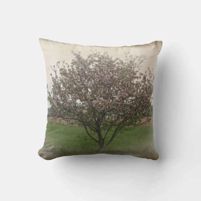Coussin Arbre pomme en fleurs (Recto)