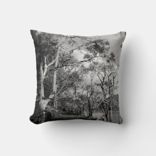 COUSSIN ARBRES