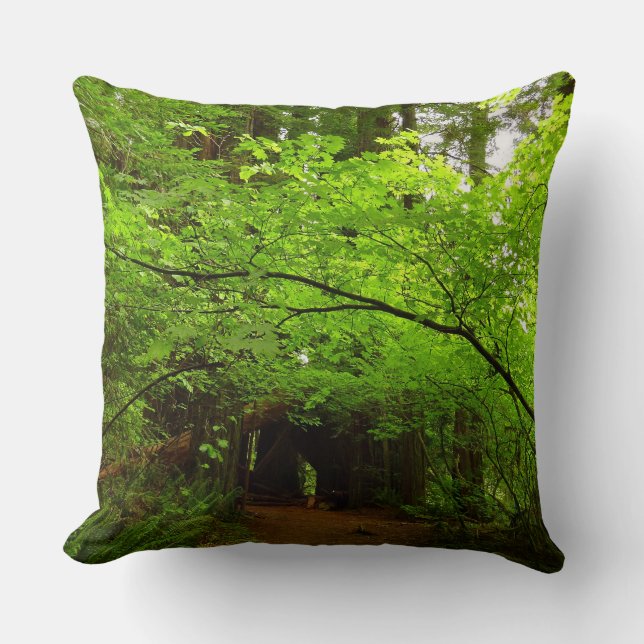 Coussin Arbres à érable dans la forêt de séquoias (Recto)